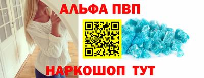 крисы Кингисепп