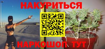 крисы Кингисепп