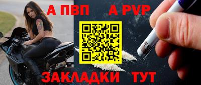 крисы Кингисепп